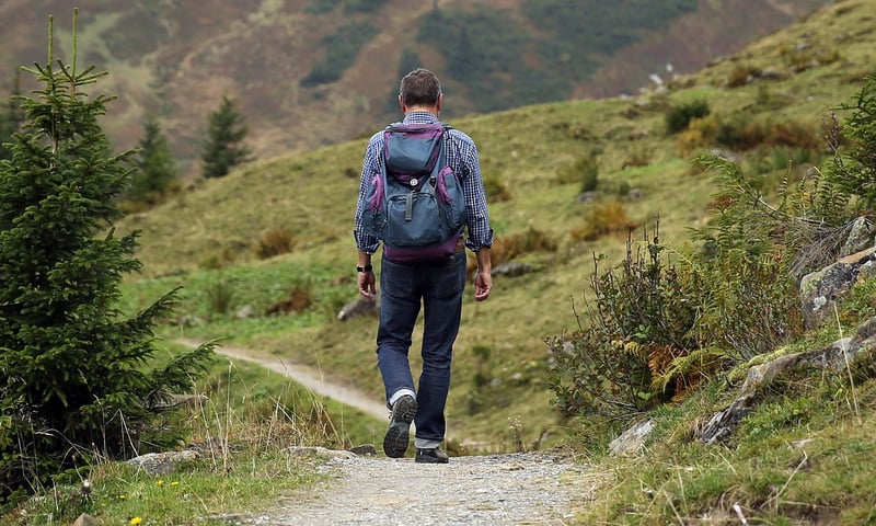 Traveler Backpack